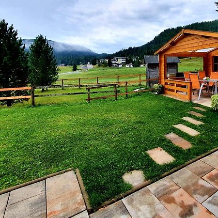 Almhaus Kaernten Flattnitz المظهر الخارجي الصورة