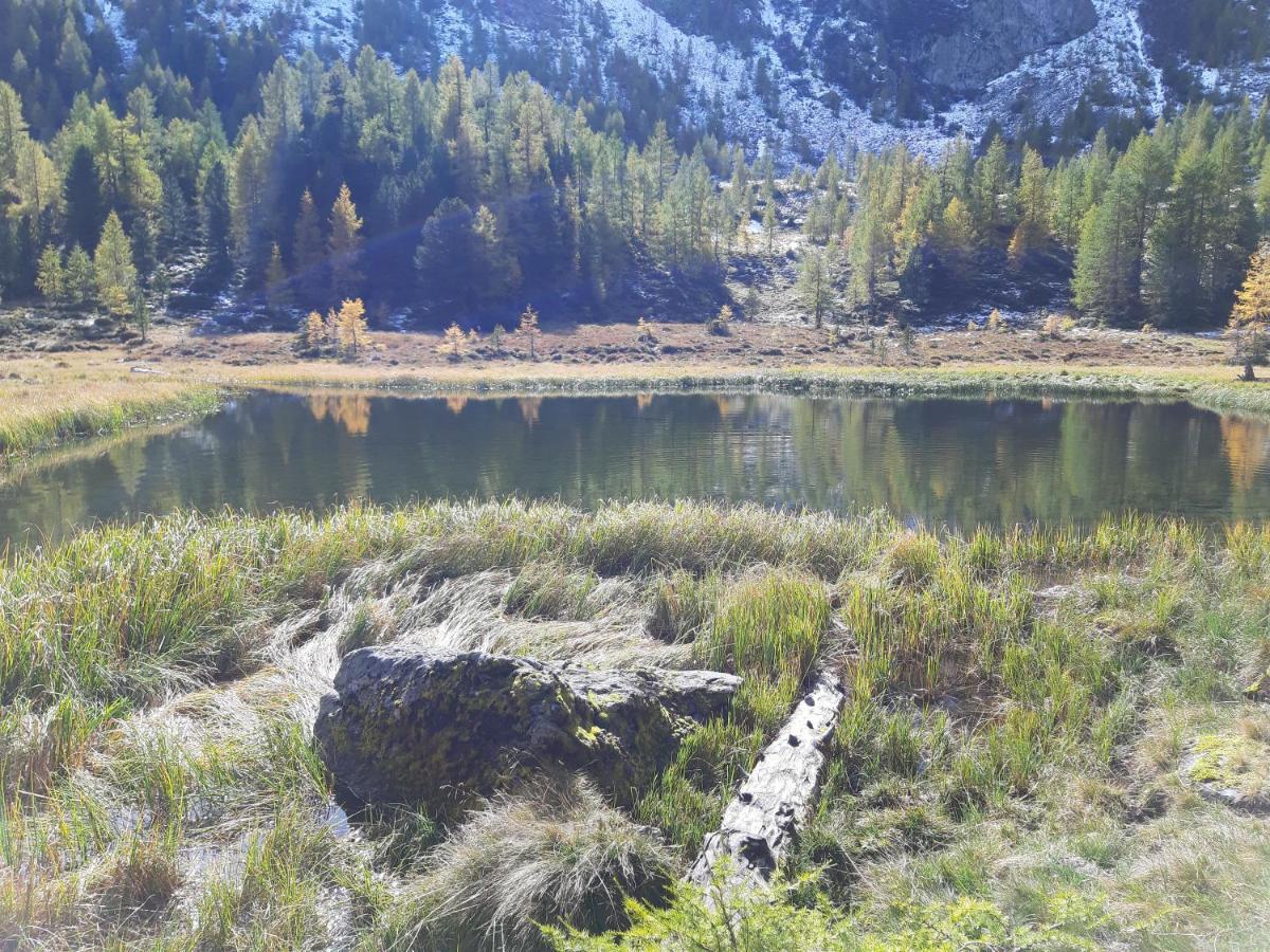 Almhaus Kaernten Flattnitz المظهر الخارجي الصورة