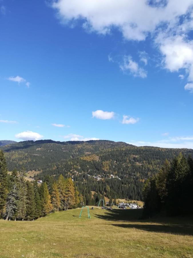 Almhaus Kaernten Flattnitz المظهر الخارجي الصورة